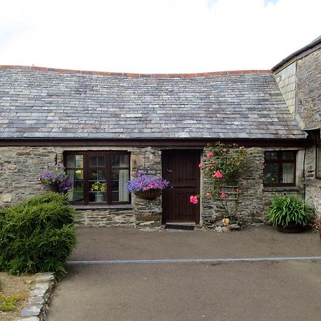 Courtyard Farm Cottages Mill End Boscastle Eksteriør bilde